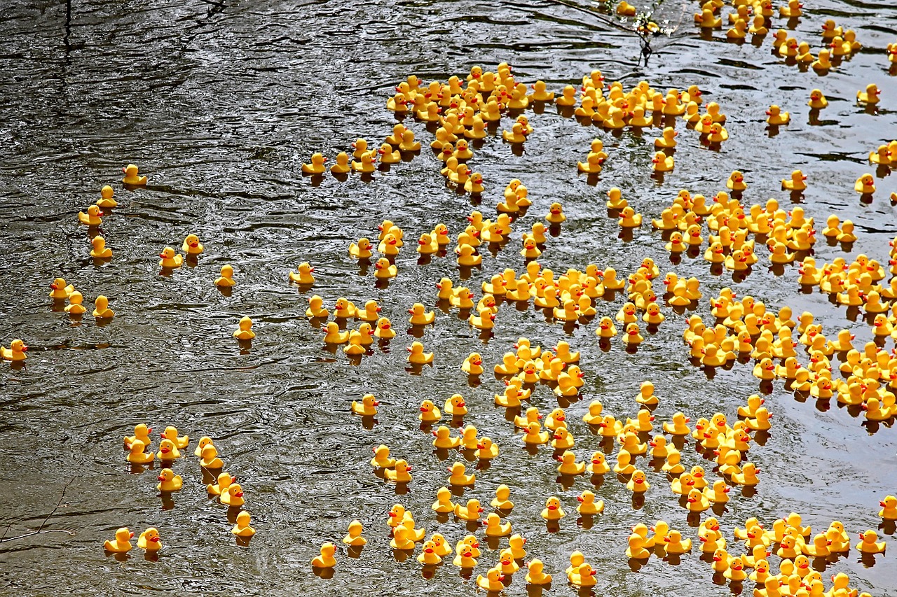 We are sponsoring a duck in the Newark Duck Race!