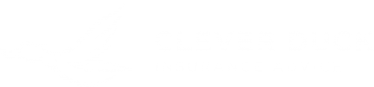 Clever Duck