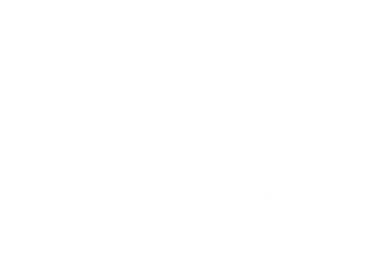 Clever Duck